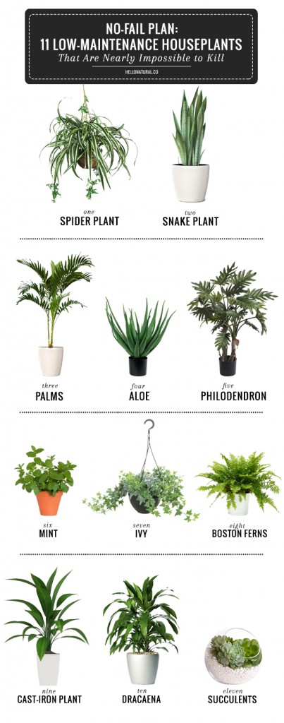 11 Hard To Kill Plants - All Created