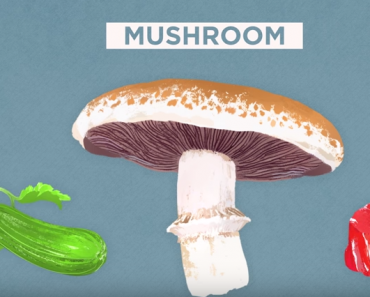 All Created - Can't Overcook Mushrooms