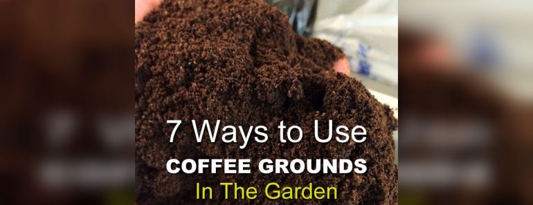 allcreated - coffee ground garden hacks