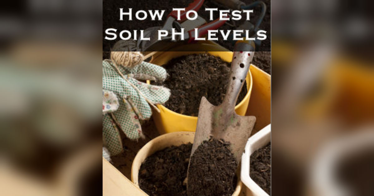 DIY Soil pH Test Tells You Whether Your Soil Is Alkaline Or Acidic