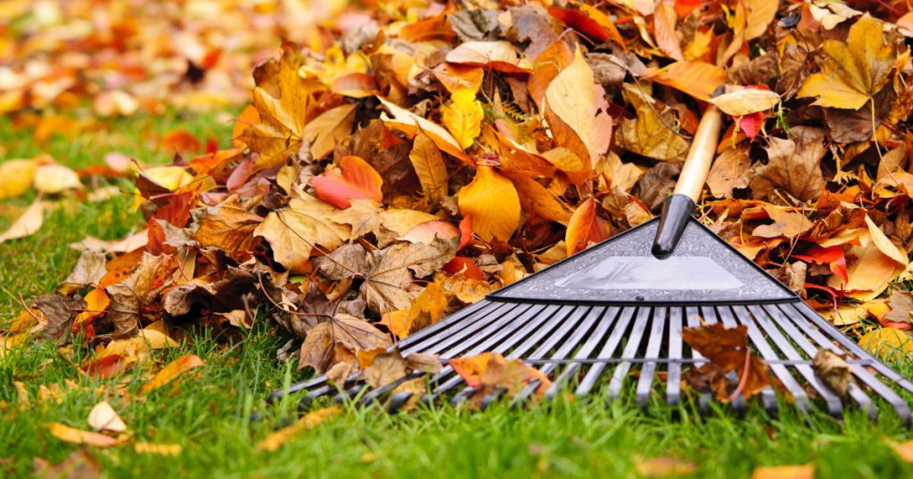 mow-don-t-rake-leaves-is-the-advice-from-southern-living-s-gardener