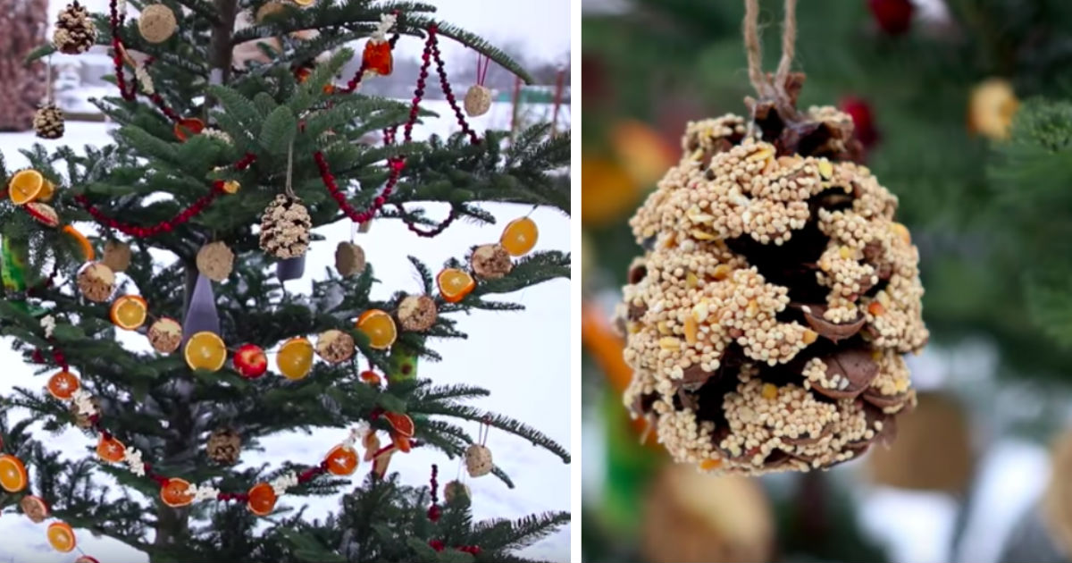 christmas themed bird feeders